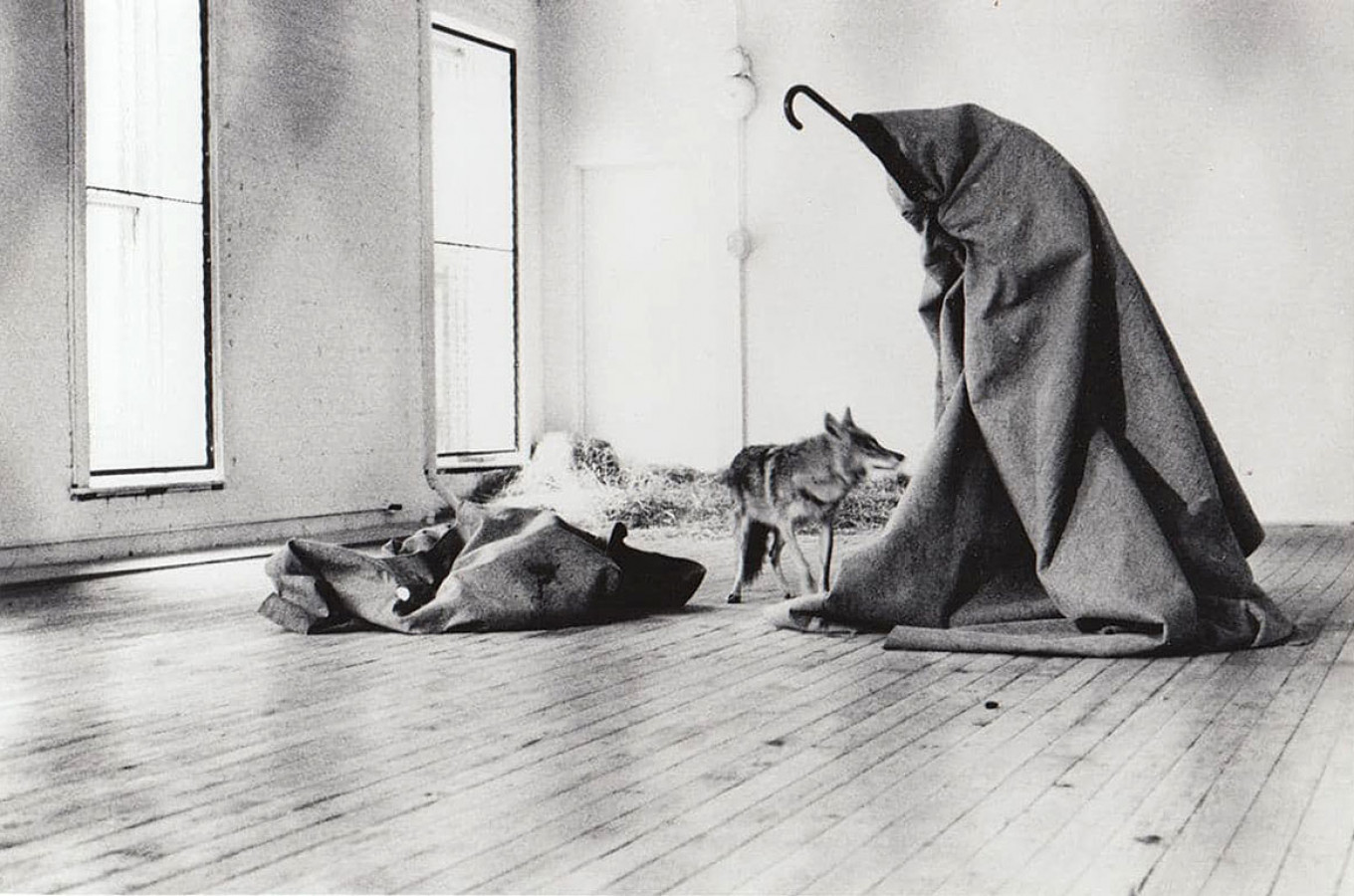 
				Акция Йозефа Бойса «Я люблю Америку и Америка любит меня», Нью-Йорк, 1974				 				Фото: Caroline Tisdall / VG Bild-Kunst, Bonn 2021			