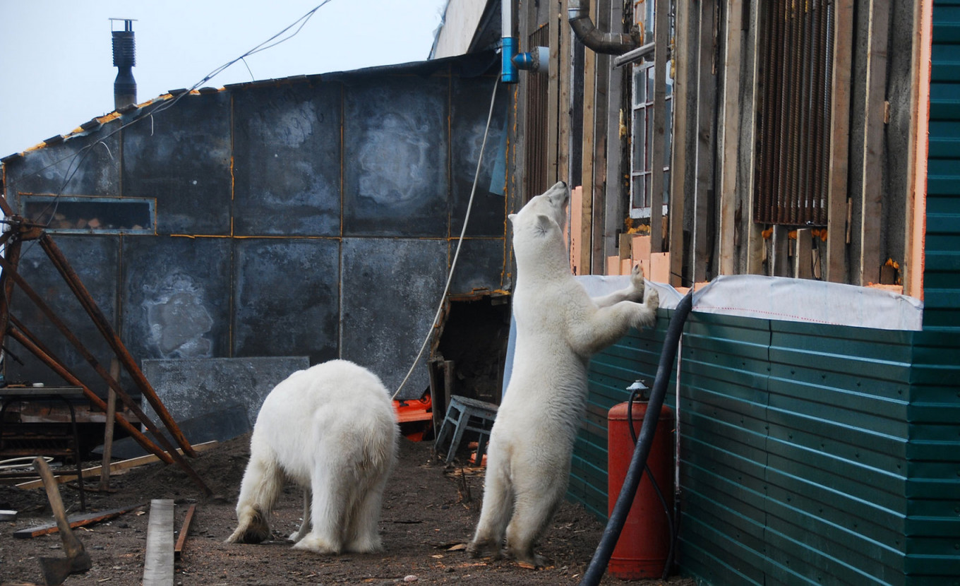 Фото: WWF России