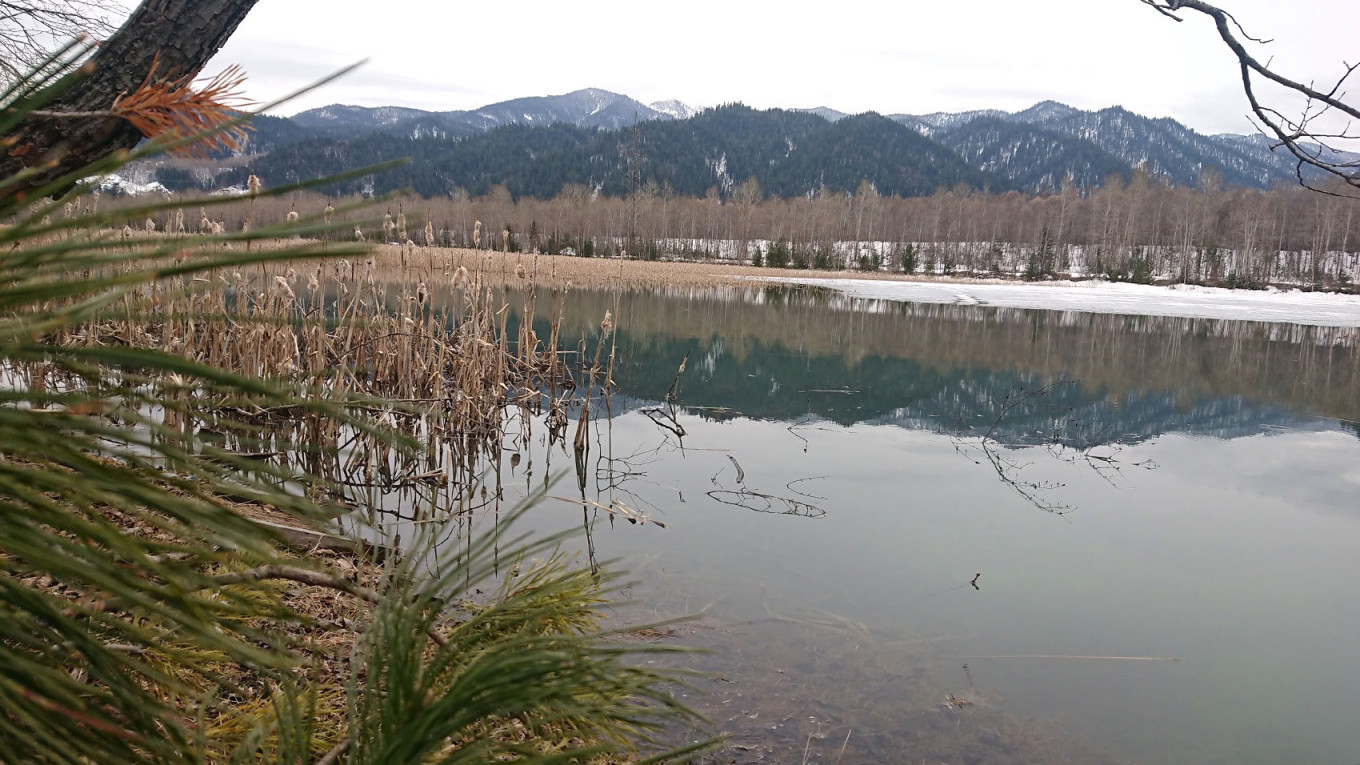 
				Это не озеро, а одна из карт со шлам-лигнином, поверх которого загрязненная вода				 				Фото: Екатерина Мереминская / VTimes			