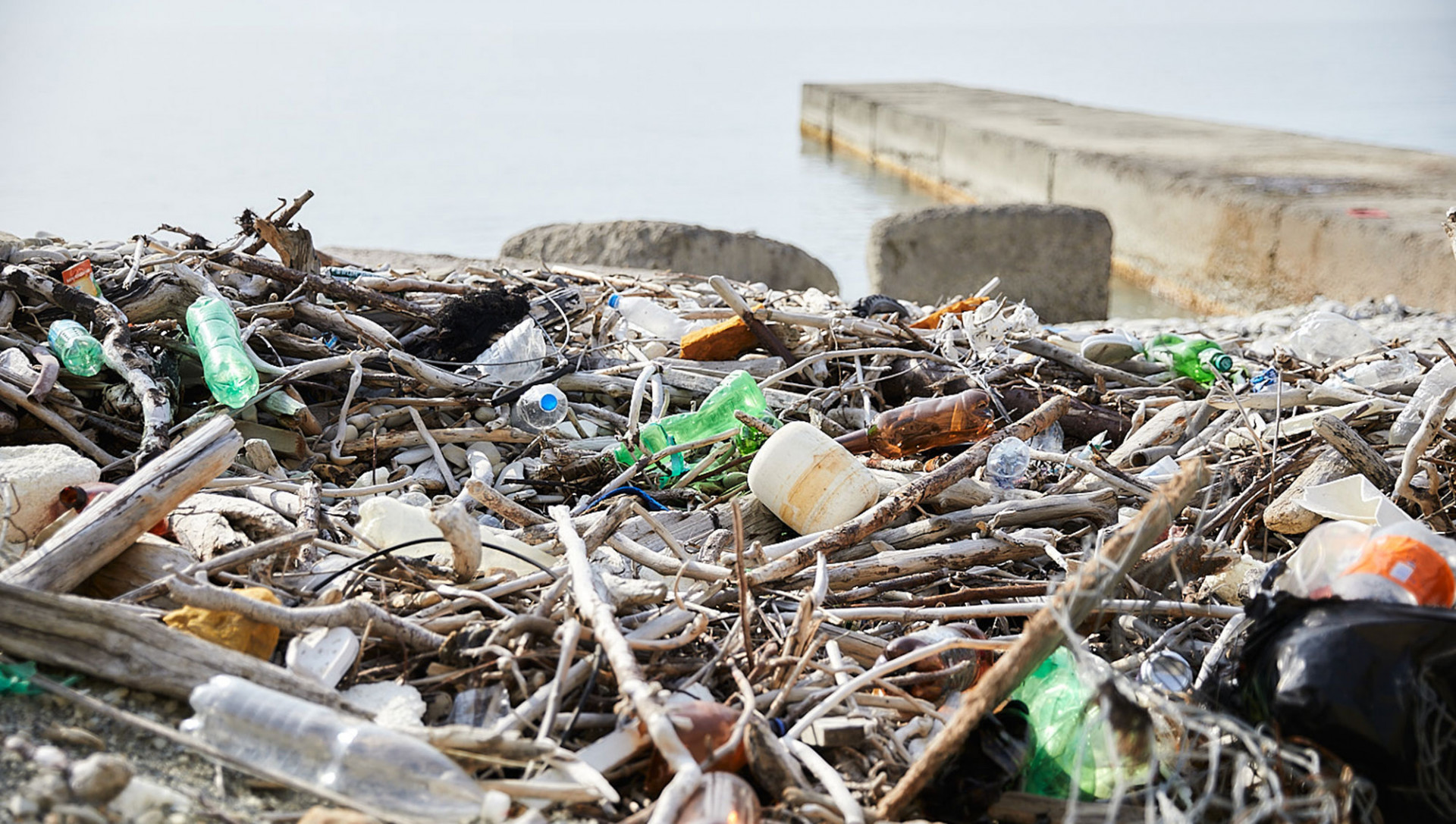 Одноразовые пластиковые товары составили 92% от всего пластика, найденного участниками проекта Greenpeace «Ноль отходов» на берегах Черного моря