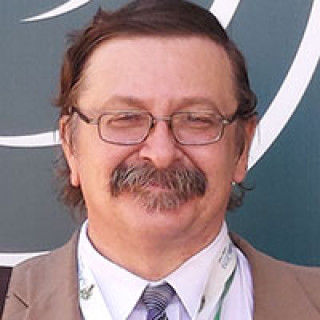 Дмитрий Замолодчиков